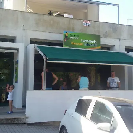 Gabbiano H9
